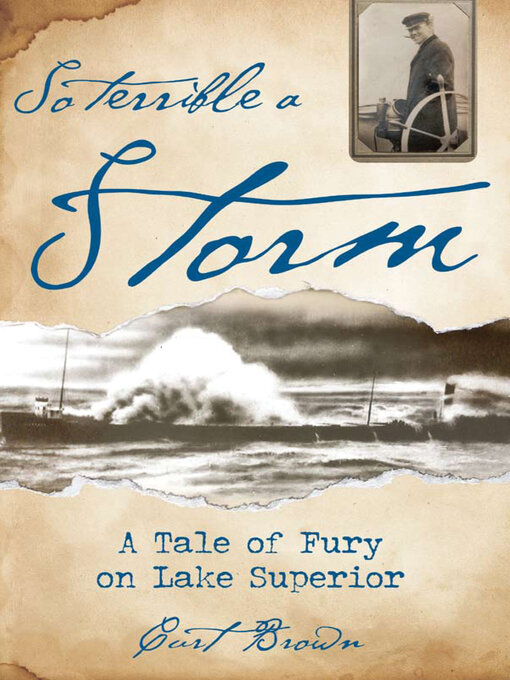 Cover image for So Terrible a Storm